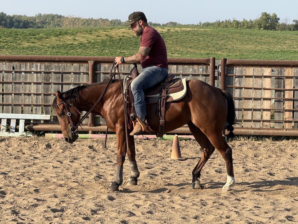 Derek Arbez riding a bay horse in an outdoor arena