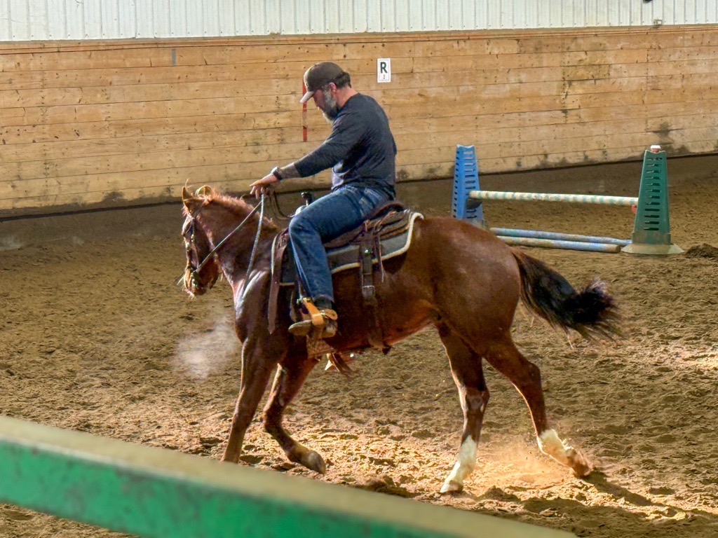 Derek riding a chestnut horse through a turn in the indoor arena