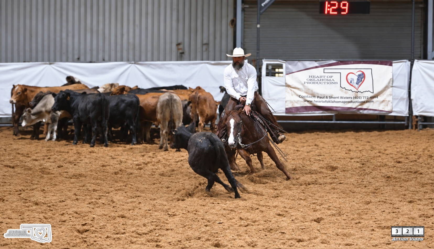 Derek and Lettie cutting a cow in the show pen
