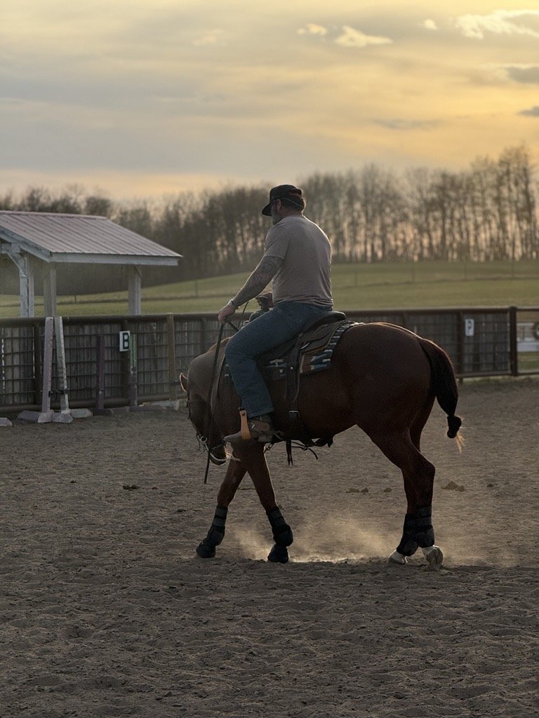 Horse and rider working beside the ranch pens