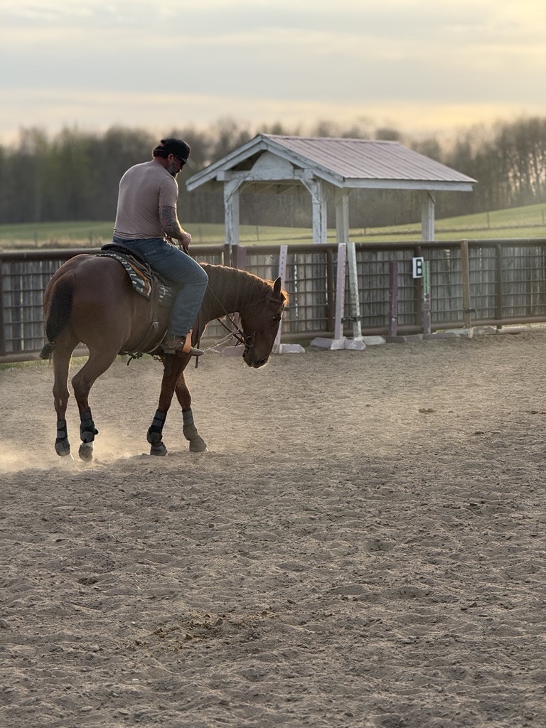 Rey, Eighties Rock, being ridden in the outdoor arena