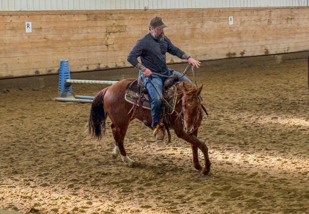 Daily riding work in an indoor arena